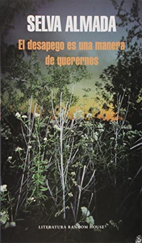 Portada de DESAPEGO ES UNA MANERA DE QUERENOS, EL