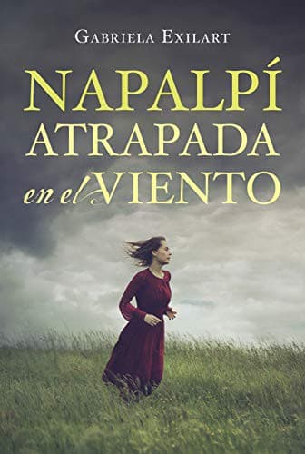 Portada de NAPALPI ATRAPADA EN EL VIENTO