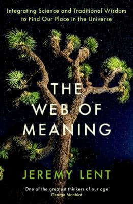 Portada de Web of Meaning