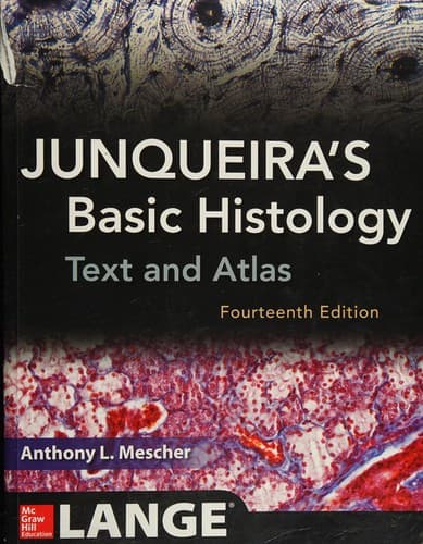 Portada de Junqueira's Basic Histology