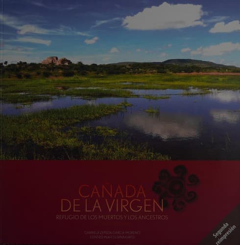 Portada de Cañada de la Virgen