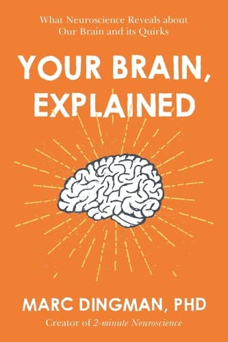 Portada de Your Brain, Explained