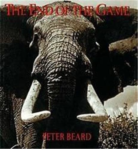 Portada de The end of the game