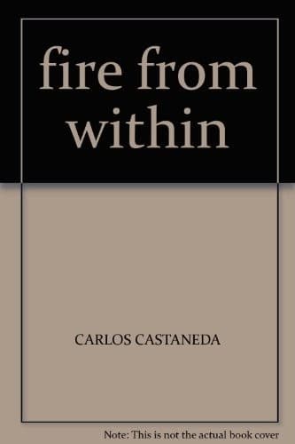 Portada de The fire from within