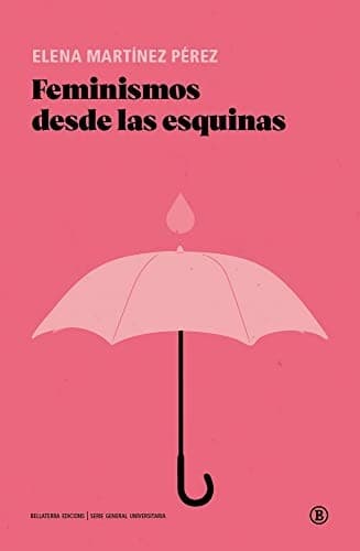 Portada de Feminismos desde las esquinas