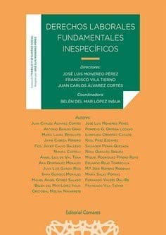Portada de Derechos laborales inespecíficos