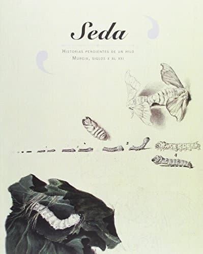 Portada de Seda. Historias Pendientes de Un Hilo. Murcia, Siglos X Al Xxi
