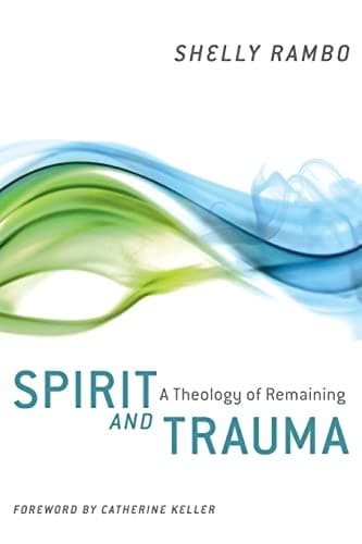 Portada de Spirit and trauma