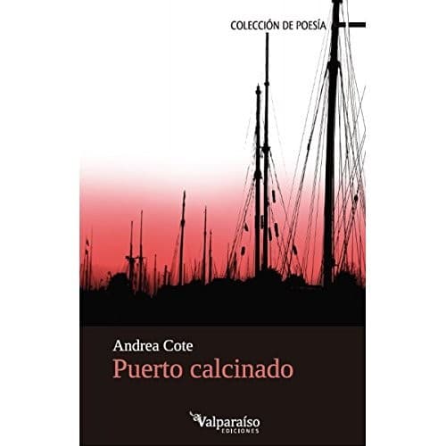 Portada de Puerto calcinado