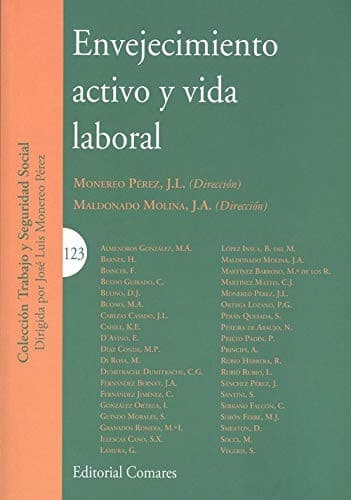 Portada de Envejecimiento activo y vida laboral