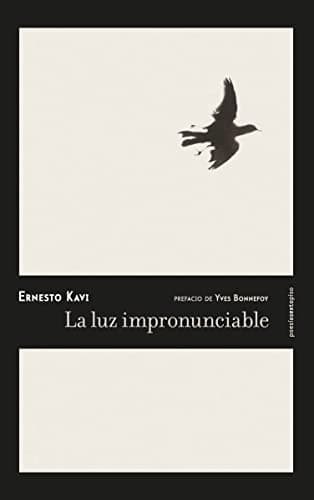 Portada de La luz impronunciable