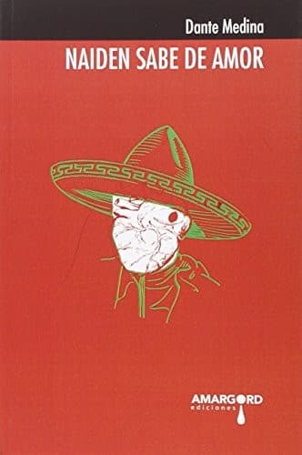 Portada de Naiden sabe de amor