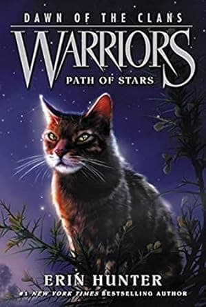Portada de Path of Stars
