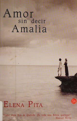 Portada de Amor sin decir Amalia.