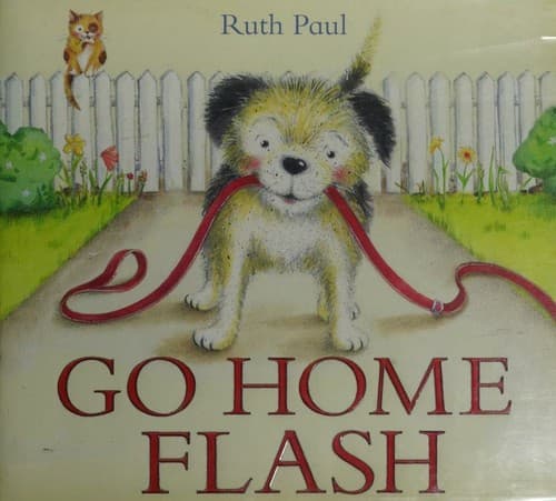 Portada de Go home Flash