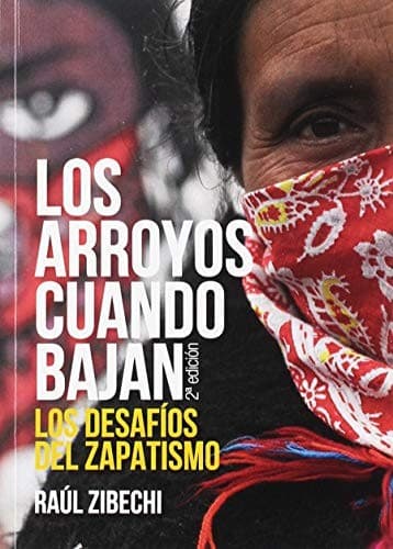 Portada de Los arroyos cuando bajan