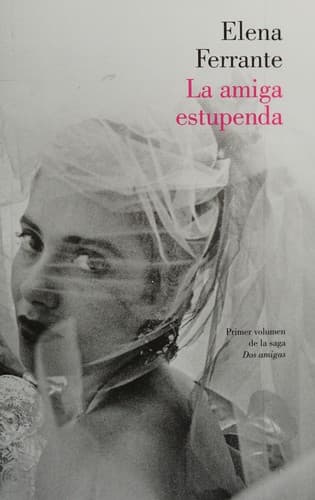 Portada de La amiga estupenda