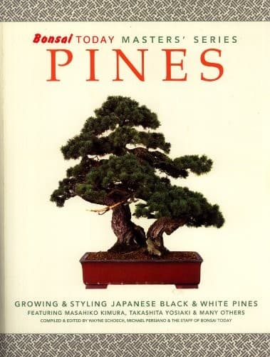 Portada de Pines