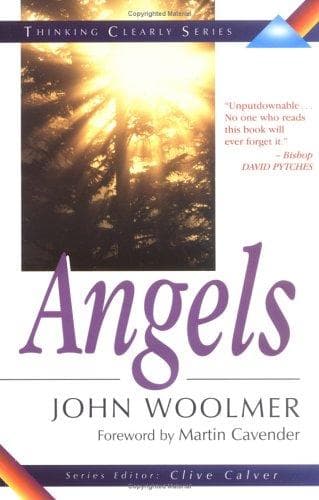 Portada de Angels (Thinking Clearly Series, the)