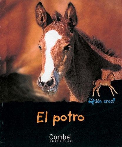 Portada de El potro (Quien eres tu? series)