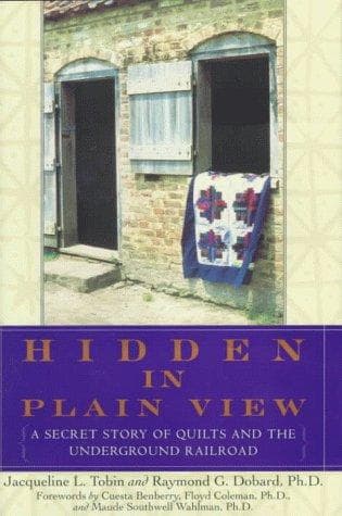 Portada de Hidden in plain view