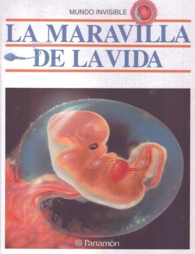 Portada de LA Maravilla De LA Vida (Mundo Invisible)