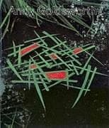 Portada de Andy Goldsworthy