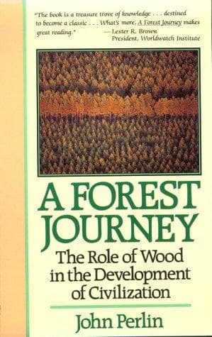 Portada de A forest journey