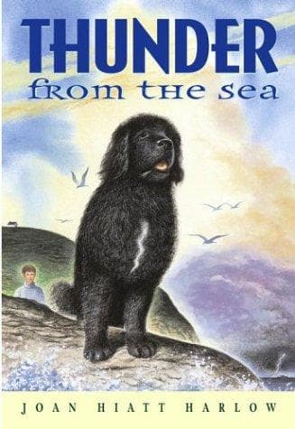 Portada de Thunder from the sea