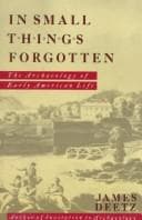 Portada de In small things forgotten