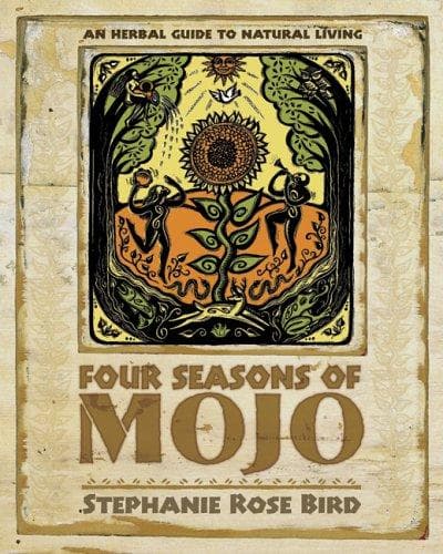 Portada de Four seasons of mojo