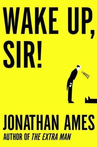 Portada de Wake up, sir!