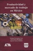 Portada de Productividad y mercado de trabajo en México