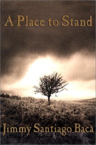 Portada de A place to stand