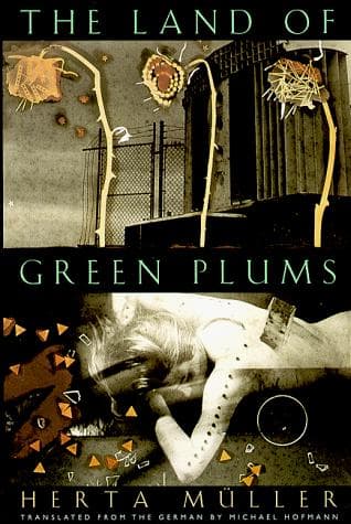 Portada de The land of green plums