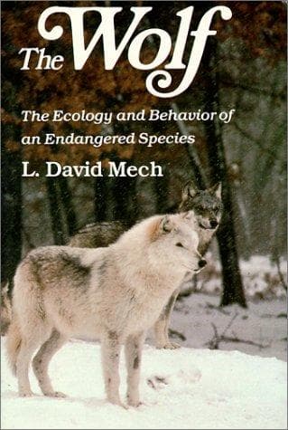 Portada de The wolf