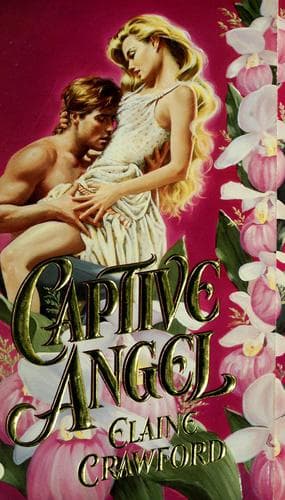 Portada de Captive Angel