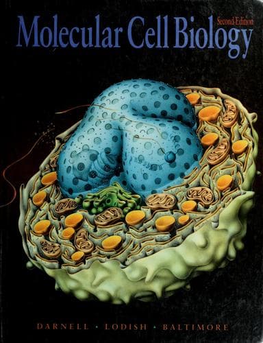 Portada de Molecular cell biology