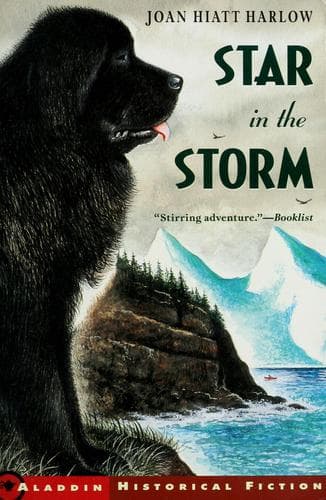 Portada de Star in the storm