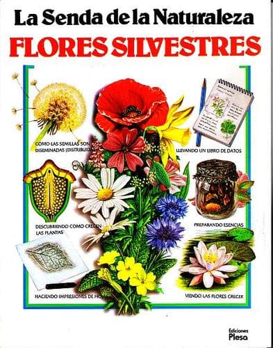 Portada de La Senda De la Naturaleza: Flores Silvestres