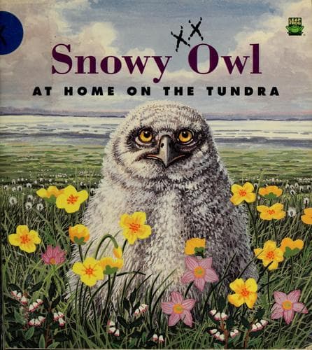 Portada de Snowy owl