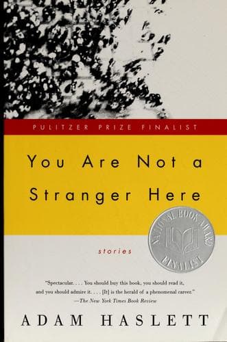 Portada de You are not a stranger here