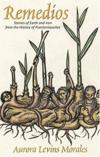 Portada de Remedios