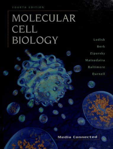 Portada de Molecular cell biology
