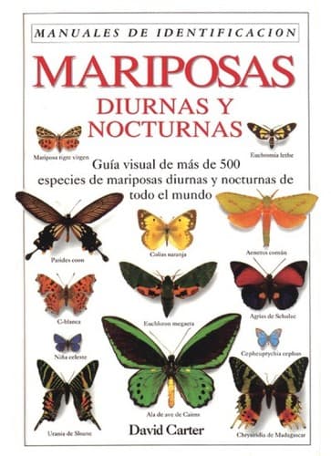 Portada de Mariposas diurnas y nocturnas