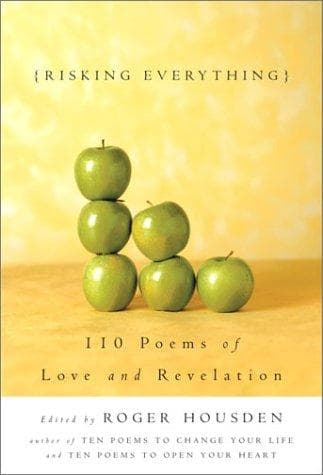Portada de Risking everything