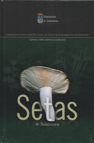 Portada de Setas de Salamanca