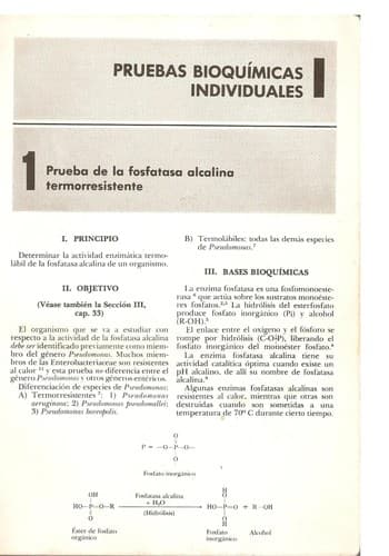 Portada de Pruebas bioquimicas para la identificacion de bacterias de importancia clinica