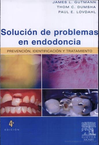 Portada de Aplicacin̤ prc̀tica de activos y pasivos tributarios diferidos