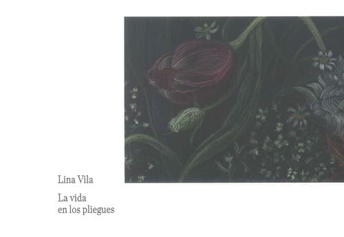 Portada de Lina Vila : la vida en los pliegues